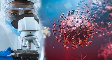 Koronavirüsün ardından yeni hastalık uyarısı!