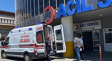Sıcaklıklar yükseldi, artışa geçti! Uzmanı uyardı: Ölümcül zehirlenmelere yol açabiliyor