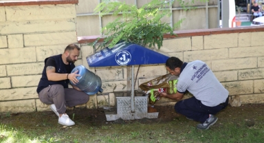 Küçükçekmece’de Can Dostlara Yaz Desteği: Mama ve Su Noktaları Yenileniyor