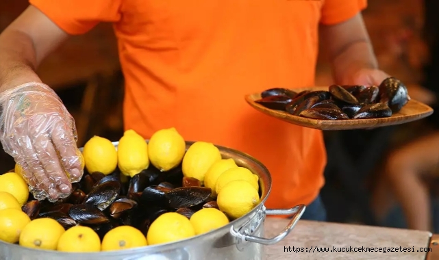 İstanbul'da Tatil Kabusu: Denetimsiz Gıda (MİDYE) Aileyi Felakete Sürükledi